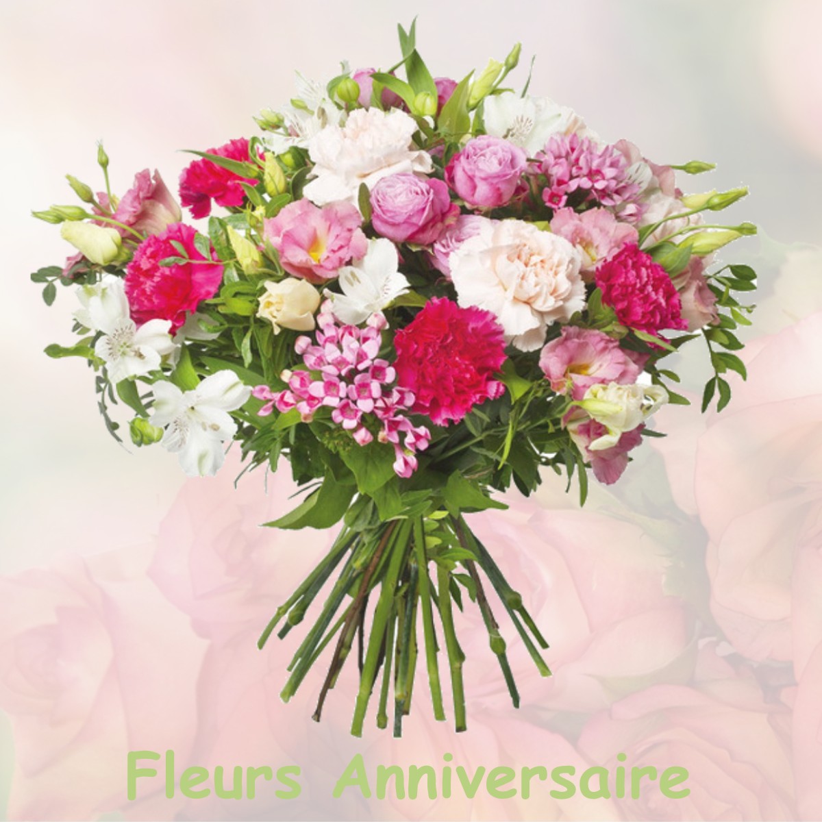 fleurs anniversaire MEZIERES-SUR-SEINE